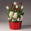 Brighter Blooms SHOP ALL Red And White Tulips With Crocus And Hyacinth