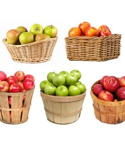 Brighter Blooms 5-in-1 Apple Tree Fruit Trees