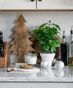 Brighter Blooms Fruit Trees Arabica Coffee Gift Plant