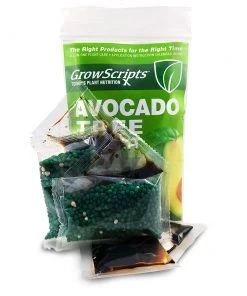 Brighter Blooms Avocado Tree Care Kit