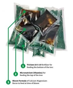 Brighter Blooms Avocado Tree Care Kit