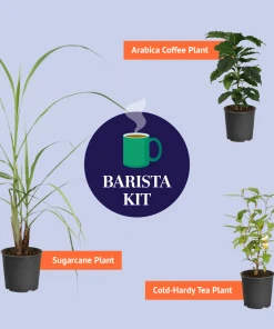 Brighter Blooms Barista Kit 7 Brighter Blooms Barista Kit