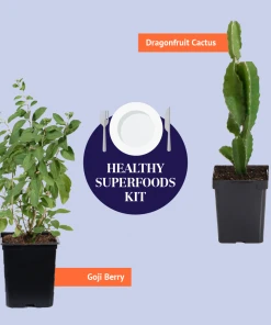 Brighter Blooms Fruit Trees Healthy Superfoods Kit