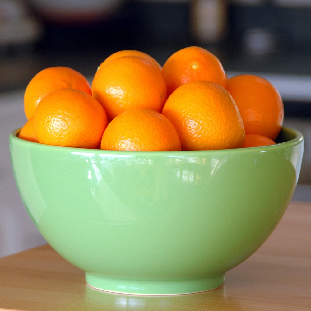Brighter Blooms House & Patio Calamondin Orange Tree 4 Brighter Blooms House & Patio Calamondin Orange Tree