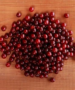 Brighter Blooms Canada Red Chokecherry Tree SHOP ALL