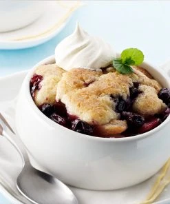 Brighter Blooms Blueberry Bushes Climax Blueberry Bush