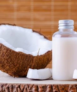 BrighterBlooms.com Palm Trees Coconut Palm Tree