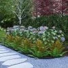 Brighter Blooms Shrubs & Hedges Cool-Climate Shade Garden Kit