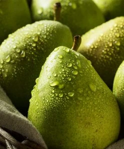 Brighter Blooms D'Anjou Pear Tree Pear Trees 9 Brighter Blooms D'Anjou Pear Tree Pear Trees