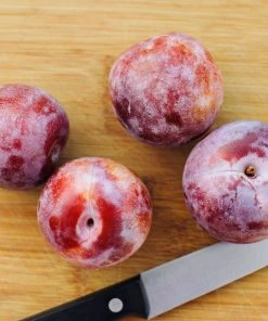 Brighter Blooms Dapple Dandy Pluot Tree Fruit Trees