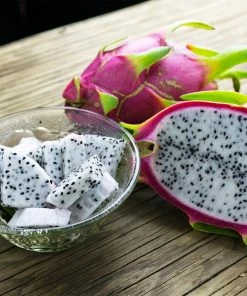 Brighter Blooms Dragon Fruit Cactus SHOP ALL