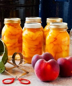 Brighter Blooms Elberta Peach Tree Fruit Trees