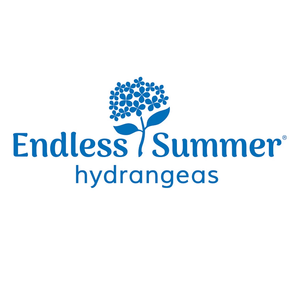 Brighter Blooms Endless Summer® Summer Crush® Big Leaf Hydrangea Shrub Shrubs & Hedges 6 Brighter Blooms Endless Summer® Summer Crush® Big Leaf Hydrangea Shrub Shrubs & Hedges