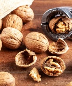 Brighter Blooms Fruit Trees Carpathian English Walnut Tree