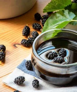 Brighter Blooms Everbearing Mulberry Tree Fruit Trees 7 Brighter Blooms Everbearing Mulberry Tree Fruit Trees