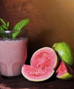 Brighter Blooms Guava Tree 'Ruby Supreme' SHOP ALL