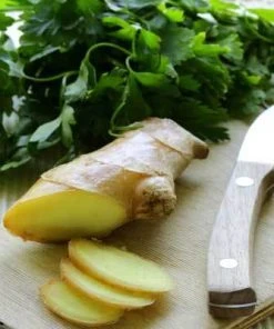 Brighter Blooms Ginger Plant