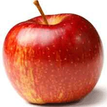 Brighter Blooms Gravenstein Apple Tree Fruit Trees