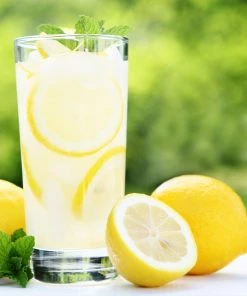 Brighter Blooms Harvey Lemon Tree 7 Brighter Blooms Harvey Lemon Tree