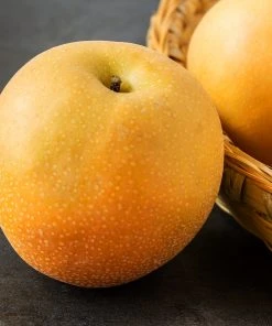 Brighter Blooms Fruit Trees Hosui Asian Pear Tree