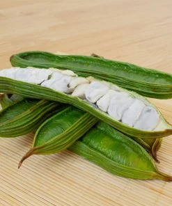 Brighter Blooms Ice Cream Bean Tree