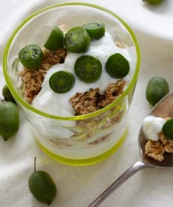 Brighter Blooms Fruit Trees Cold Hardy Kiwi (Issai Arctic Kiwi) Plant 11 Brighter Blooms Fruit Trees Cold Hardy Kiwi (Issai Arctic Kiwi) Plant