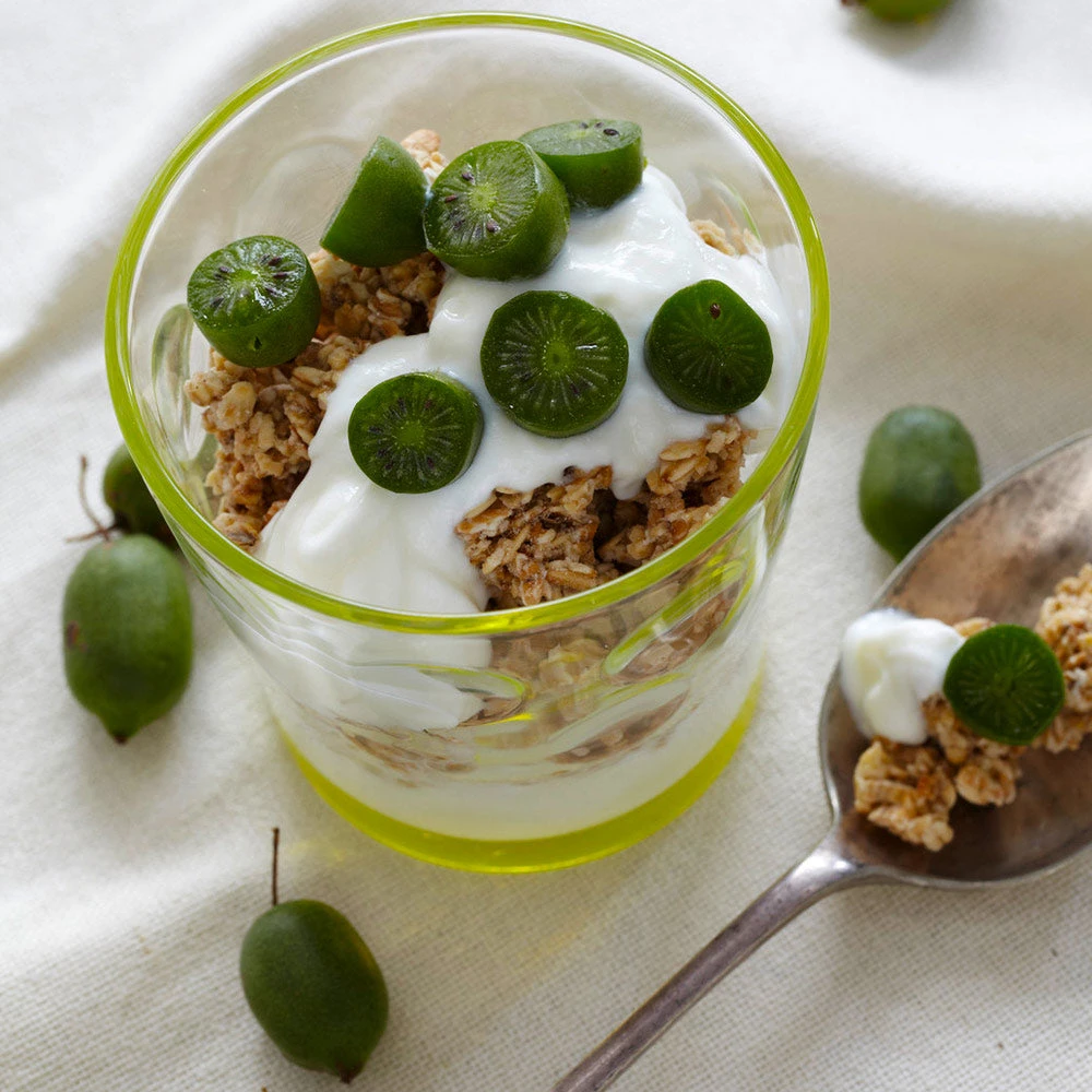 Brighter Blooms Fruit Trees Cold Hardy Kiwi (Issai Arctic Kiwi) Plant 6 Brighter Blooms Fruit Trees Cold Hardy Kiwi (Issai Arctic Kiwi) Plant