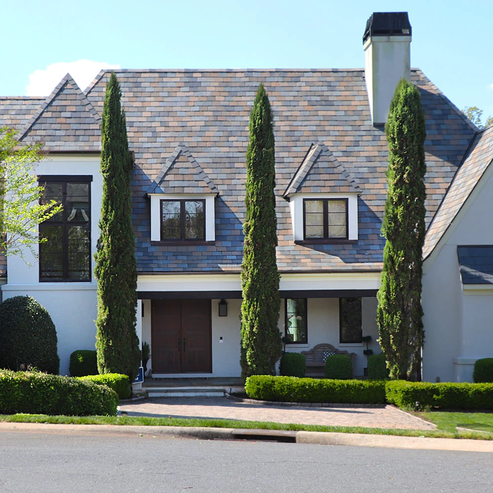 Brighter Blooms Italian Cypress Tree Evergreen & Privacy 2 Brighter Blooms Italian Cypress Tree Evergreen & Privacy