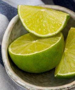 Brighter Blooms Key Lime Bush House & Patio 9 Brighter Blooms Key Lime Bush House & Patio