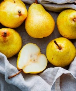 Brighter Blooms Fruit Trees Kieffer Pear Tree