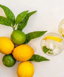 Brighter Blooms Fruit Trees Lemon-Lime Citrus Tree