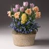 Brighter Blooms SHOP ALL Mother's Day Bulb Garden