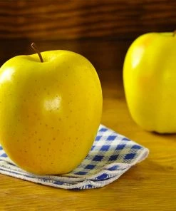 Brighter Blooms Apples Trees Mutsu Apple Tree