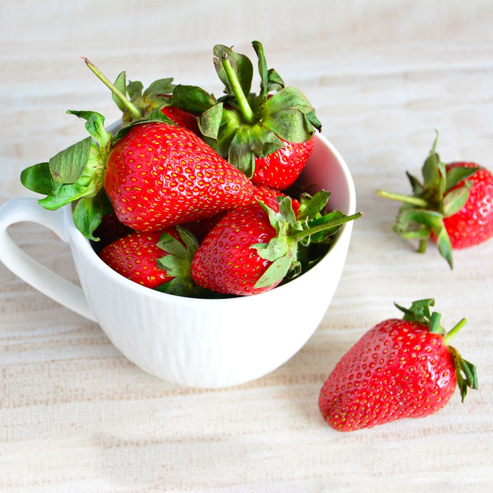 Brighter Blooms Maxim Strawberry Plant 4 Brighter Blooms Maxim Strawberry Plant