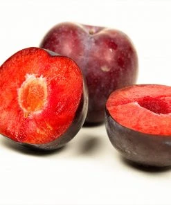 Brighter Blooms Fruit Trees Methley Plum Tree