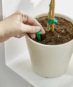 Brighter Blooms Fertilizers & Soil Additives MiracleGro - Houseplant Spikes