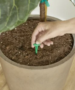 Brighter Blooms Fertilizers & Soil Additives MiracleGro - Houseplant Spikes