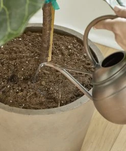 Brighter Blooms Fertilizers & Soil Additives MiracleGro - Houseplant Spikes