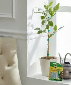Brighter Blooms Fertilizers & Soil Additives MiracleGro - Houseplant Spikes