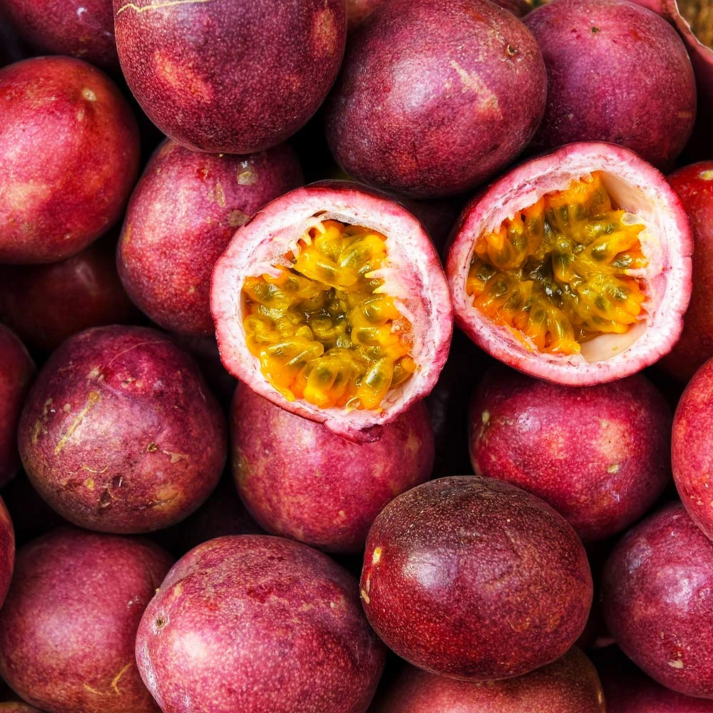 Brighter Blooms Nancy Garrison Passion Fruit Vine 4 Brighter Blooms Nancy Garrison Passion Fruit Vine