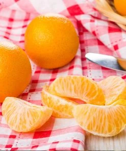 Brighter Blooms Navel Orange Tree