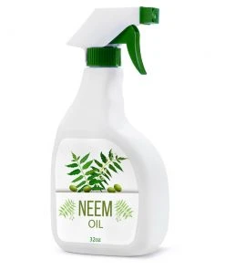 Brighter Blooms Neem Oil Pest & Disease Control