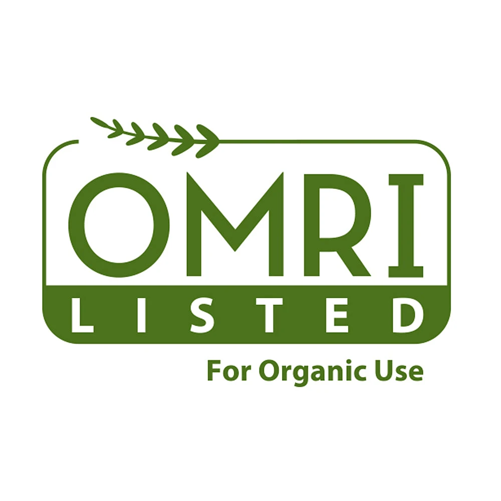 Brighter Blooms Fertilizers & Soil Additives Root Rocket Fertilizer 4 Brighter Blooms Fertilizers & Soil Additives Root Rocket Fertilizer