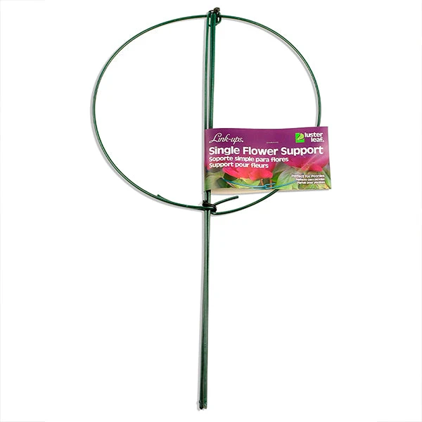 Brighter Blooms Peony Stand 1 Brighter Blooms Peony Stand