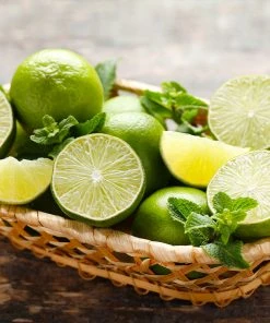 Brighter Blooms Persian 'Bearss' Lime Tree New Trees