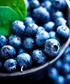 Brighter Blooms Fruit Trees Powderblue Blueberry Bush