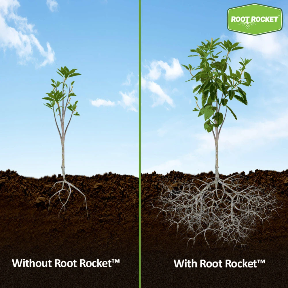 Brighter Blooms Fertilizers & Soil Additives Root Rocket Fertilizer 2 Brighter Blooms Fertilizers & Soil Additives Root Rocket Fertilizer