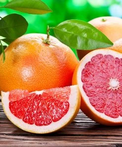 Brighter Blooms Ruby Red Grapefruit Tree