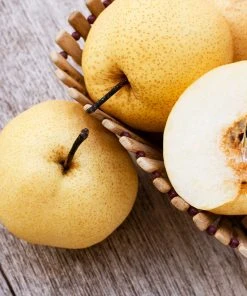 Brighter Blooms Shinseiki Asian Pear Tree 6 Brighter Blooms Shinseiki Asian Pear Tree