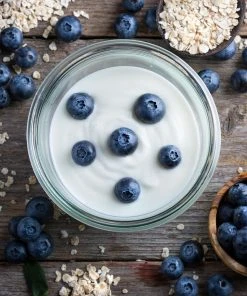 Brighter Blooms Blueberry Bushes Spartan Blueberry Bush